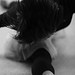 IMG_6653