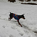 IMG_8454