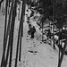 a long walk home