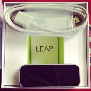 leap insides